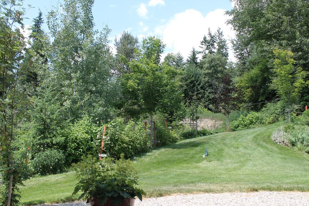Windborne Bed & Breakfast Castlegar Exteriör bild
